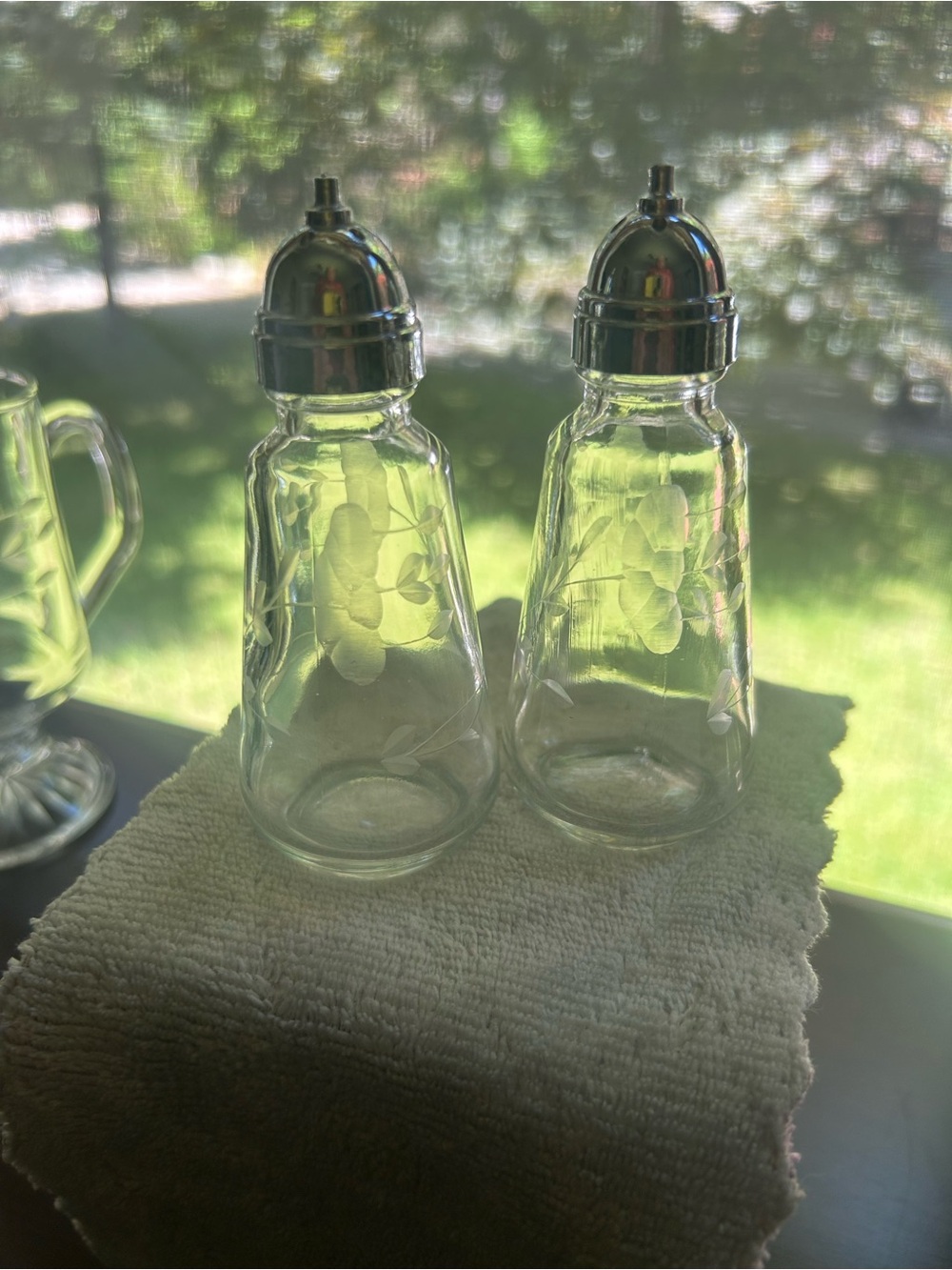 Prince House Clear/Etched Glass Salt and Pepper Shakers